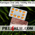 Kamagra Oral Jelly 100Mg How To Use new13